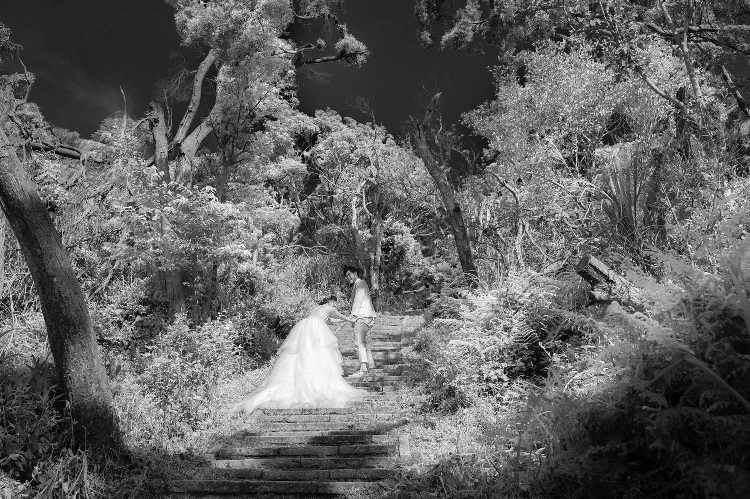 獨立攝影師 Anderson 獨立婚紗 自助婚紗 婚禮紀實 平面攝影 婚禮紀錄 海外婚紗 自主婚紗 婚紗影像 Wen & Yang 攝影師 Anderson Chien